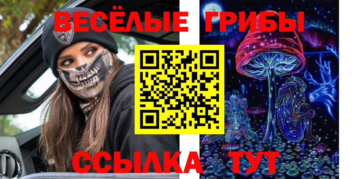 Междуреченск  Псилоцибиновые грибы мицелий  Вход с VPN 