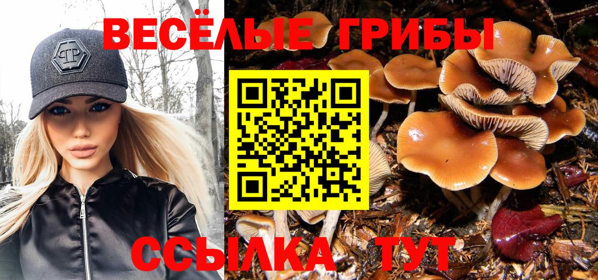 Псилоцибиновые грибы ЛСД Междуреченск
